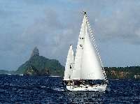 click for larger image