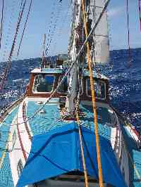 click for larger image