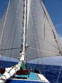 Larger picture of twizzle rig